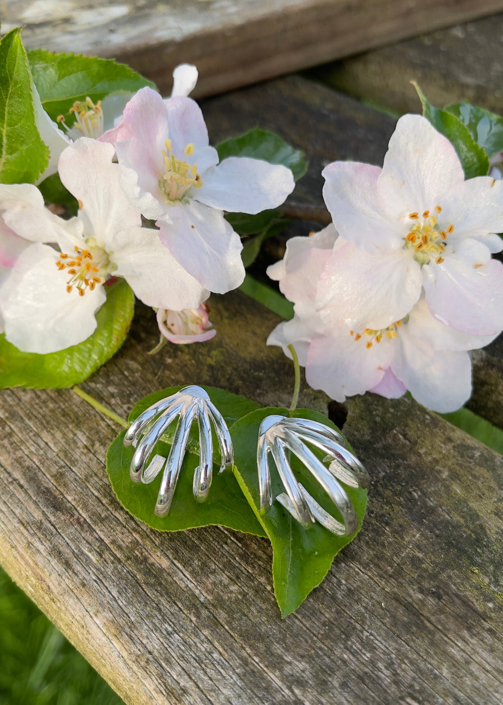 Boucles d'oreilles "Coquille d'Argent"
