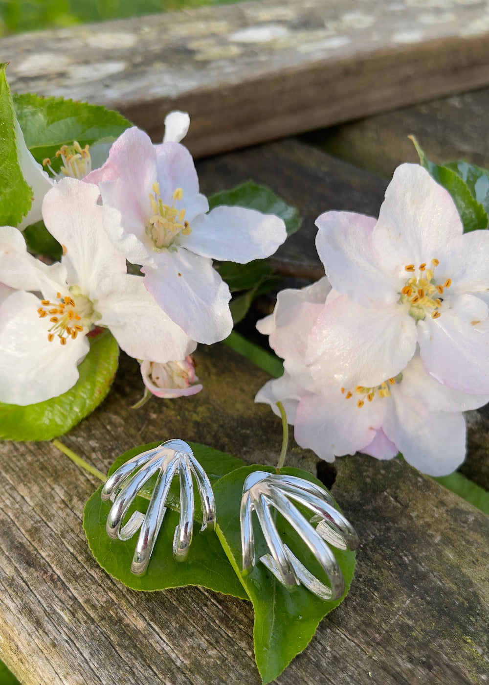 Boucles d'oreilles "Coquille d'Argent"