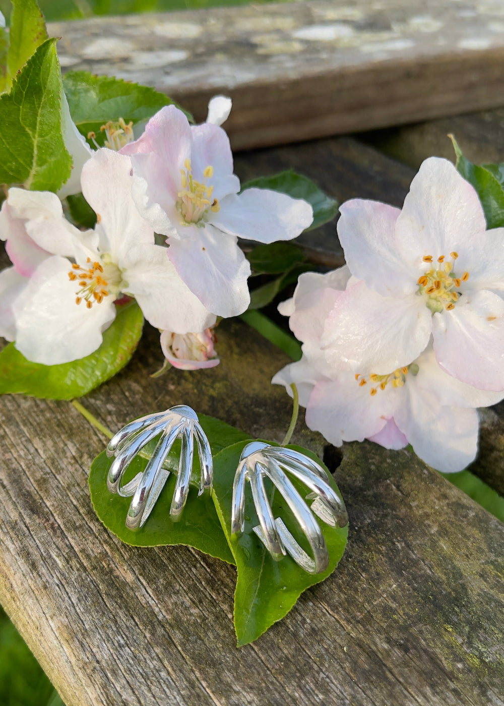 Boucles d'oreilles "Coquille d'Argent"